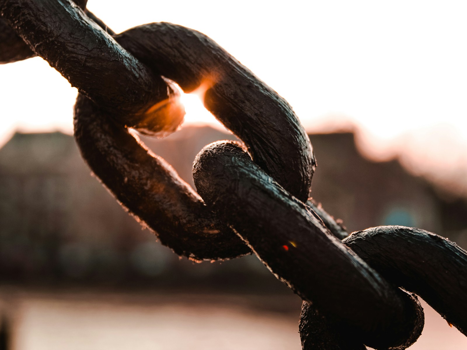 Close-up of heavy chain links against a low sun.